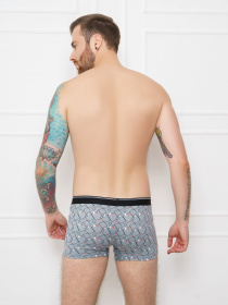 Труси ISSA Plus модель GN5-144__grey Труси ISSA Plus модель GN5-144__grey Фото