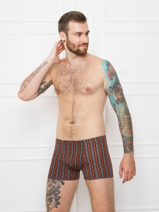 Труси ISSA Plus модель GN5-145__brown Фото