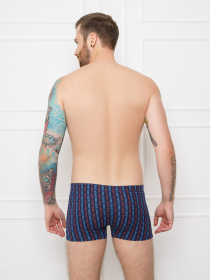 Трусы ISSA Plus модель GN5-145__blue Фото