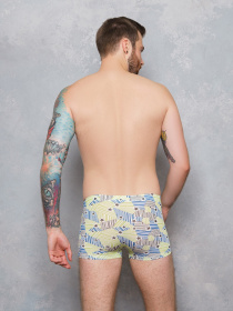 Труси ISSA Plus модель GN5-147__lightgreen Фото