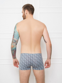 Трусы ISSA Plus модель GN5-150__grey Фото