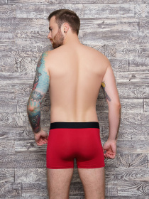 Трусы ISSA Plus модель GN5-153__burgundy Фото