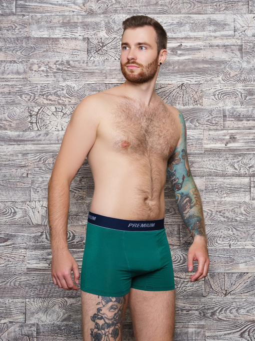 Труси ISSA Plus модель GN5-153__green Фото