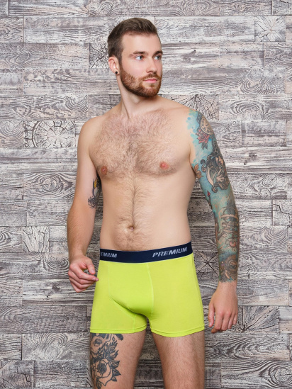 Труси ISSA Plus модель GN5-153__lightgreen - фото