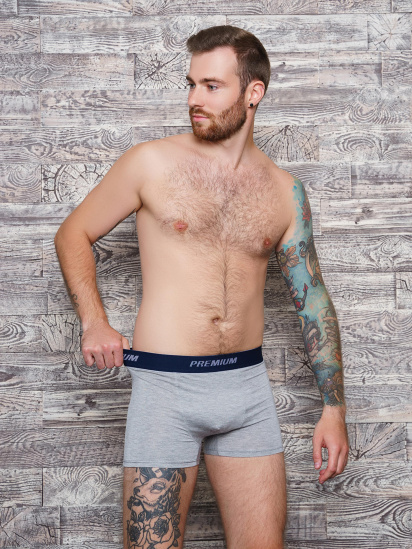 Труси ISSA Plus модель GN5-153__lightgray - фото