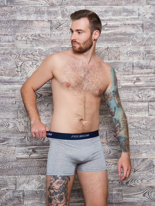 Труси ISSA Plus модель GN5-153__lightgray Фото