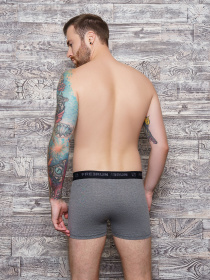 Трусы ISSA Plus модель GN5-154__grey Фото