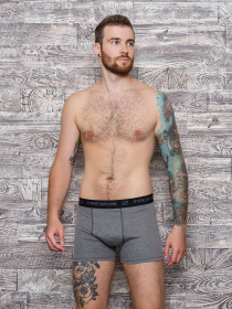 Трусы ISSA Plus модель GN5-154__grey Фото