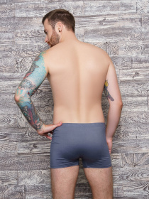 Трусы ISSA Plus модель GN5-159__grey Трусы ISSA Plus модель GN5-159__grey Фото