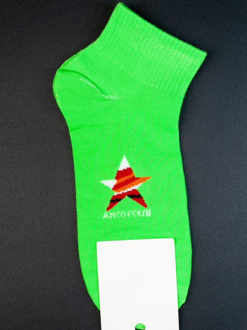 Носки и гольфы ISSA Plus модель GNS-107__lightgreen Фото