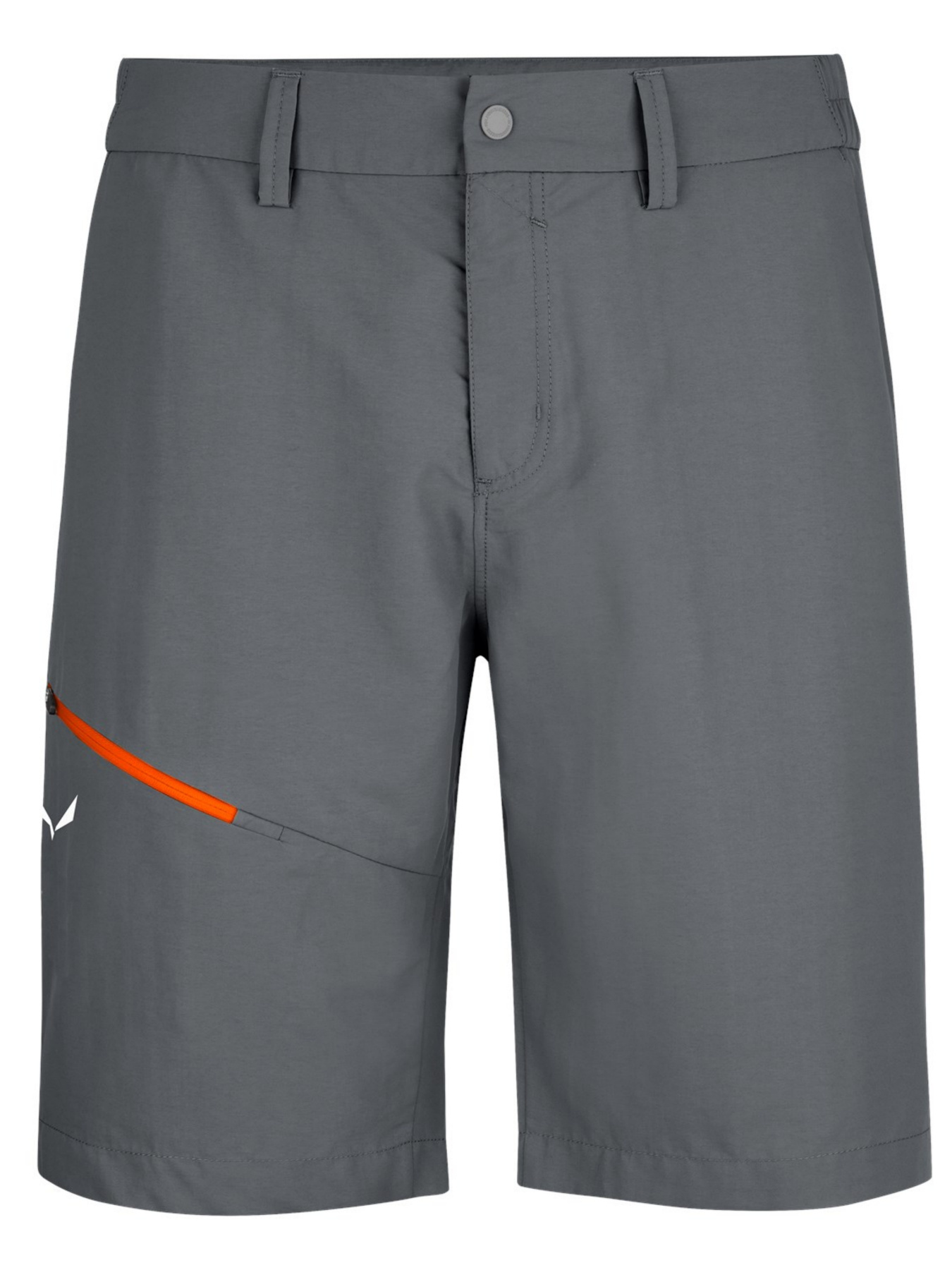 Повседневные шорты Salewa модель 05171d29-1877-11ed-810e-001dd8b72568 Фото