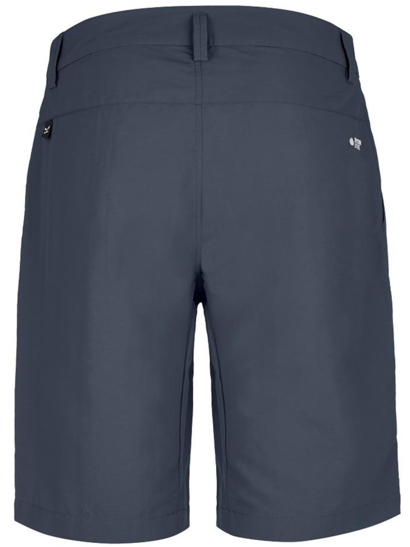 Шорты Salewa модель 1b5e8a8c-1877-11ed-810e-001dd8b72568 Фото