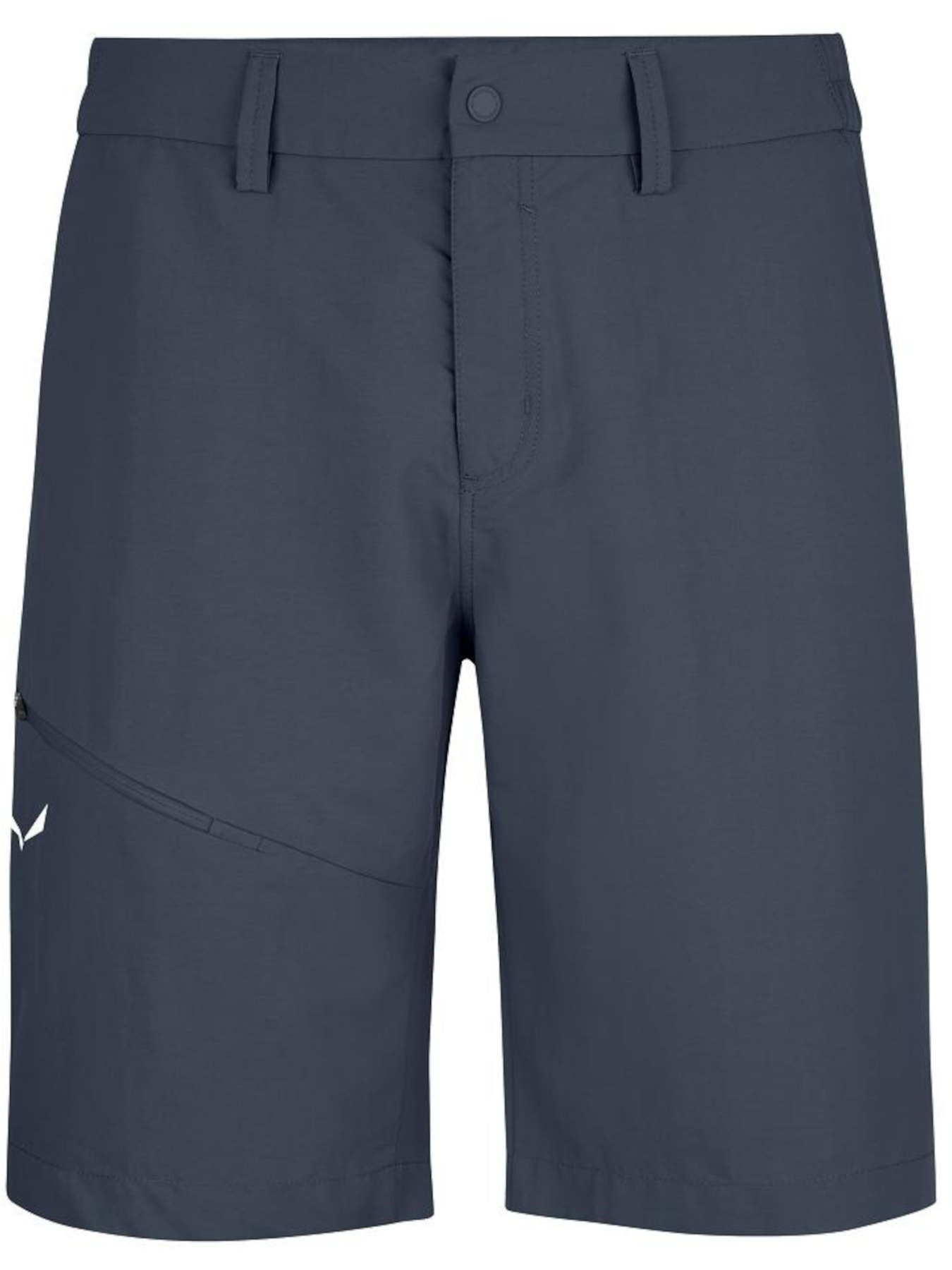 Шорты Salewa модель 1b5e8a8c-1877-11ed-810e-001dd8b72568 Фото