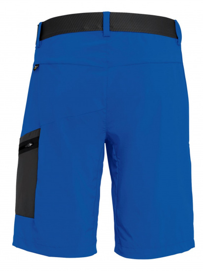 Шорты Salewa модель 4c5d4891-1879-11ed-810e-001dd8b72568 — фото - INTERTOP