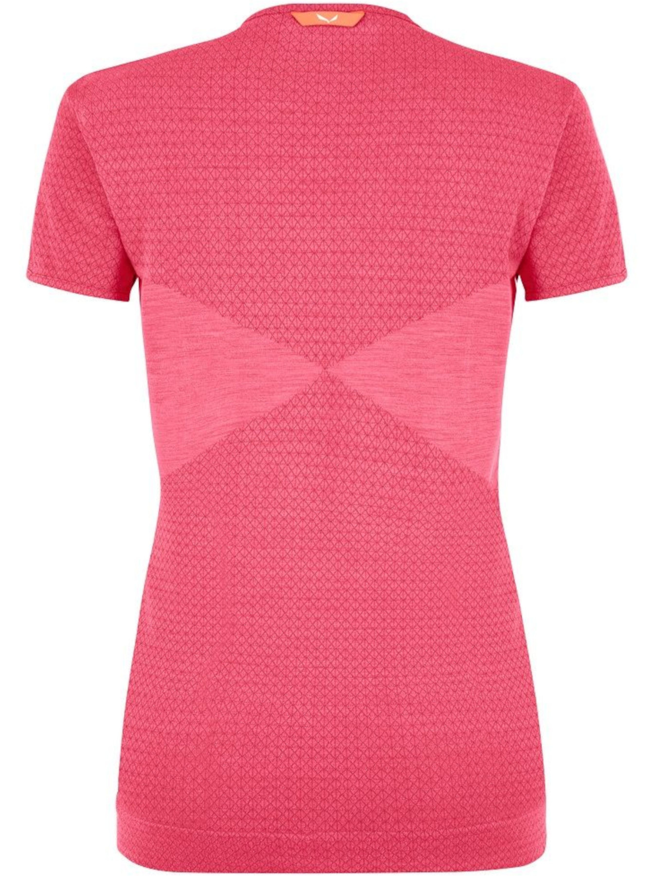 Футболка Salewa модель e2a7a89b-1880-11ed-810e-001dd8b72568 Фото