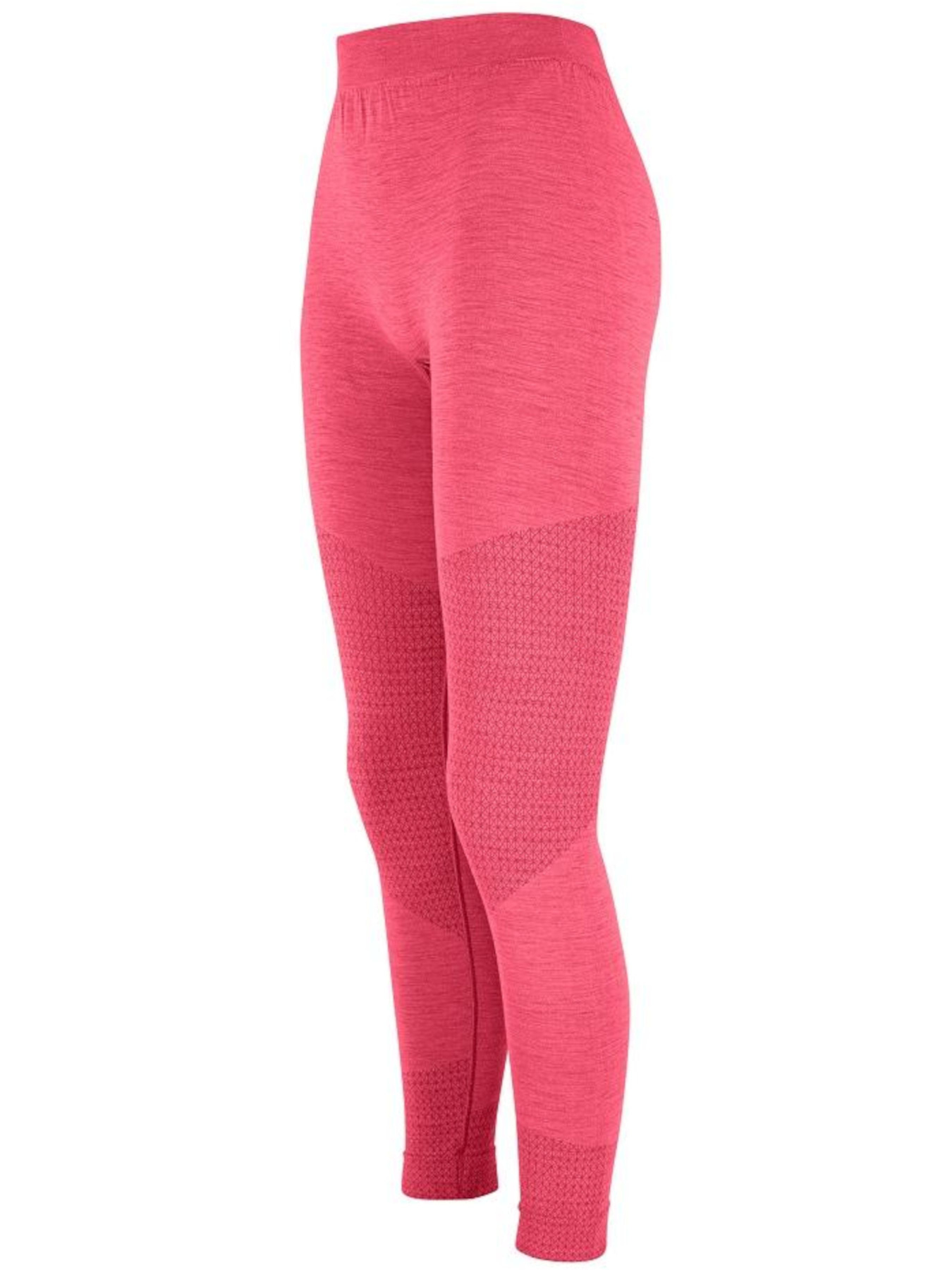 Леггинсы спортивные Salewa модель de4e269c-1883-11ed-810e-001dd8b72568 Фото