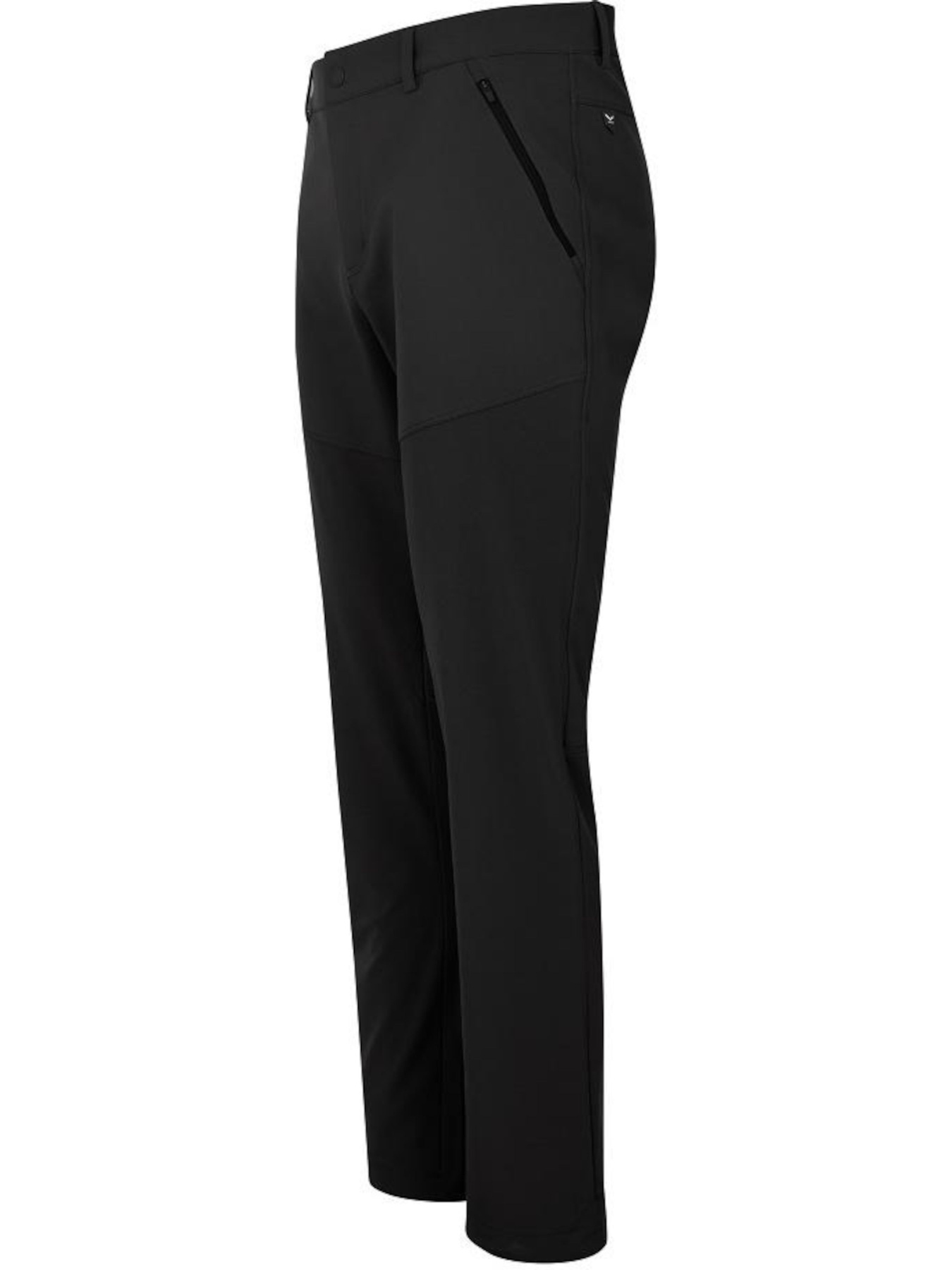 Штаны спортивные Salewa модель 1c206046-1884-11ed-810e-001dd8b72568 Фото