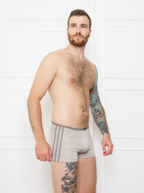 Труси ISSA Plus модель GN5-110_.beige Труси ISSA Plus модель GN5-110_.beige Фото