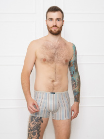 Труси ISSA Plus модель GN5-112_.grey Труси ISSA Plus модель GN5-112_.grey Фото