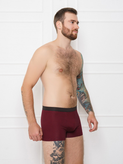 Труси ISSA Plus модель GN5-115_.burgundy - фото