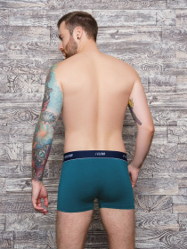 Трусы ISSA Plus модель GN5-153_.turquoise Фото