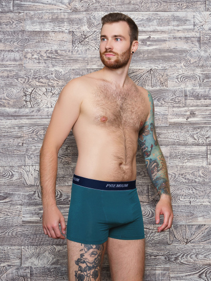 Труси ISSA Plus модель GN5-153_.turquoise - фото