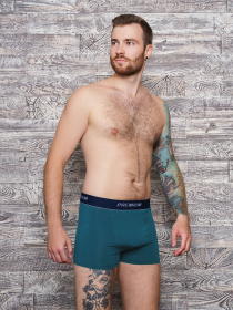 Трусы ISSA Plus модель GN5-153_.turquoise Трусы ISSA Plus модель GN5-153_.turquoise Фото