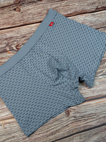 Труси ISSA Plus модель GN5-166_.grey Фото