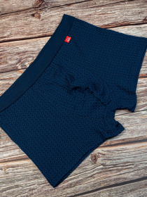 Трусы ISSA Plus модель GN5-166_.blue Трусы ISSA Plus модель GN5-166_.blue Фото