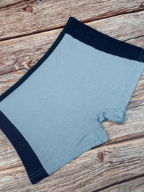 Трусы ISSA Plus модель GN5-71_.blue Фото