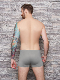 Трусы ISSA Plus модель GN5-90_.lightgray Фото