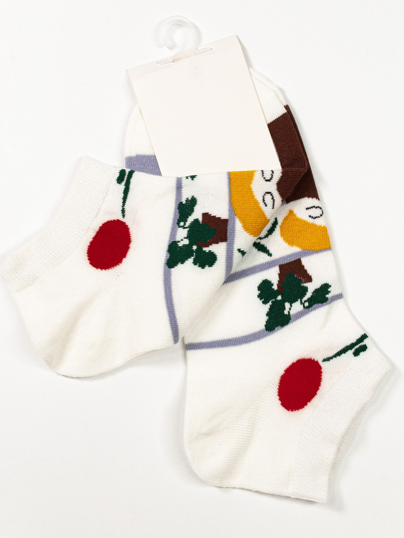 Шкарпетки ISSA Plus модель NS-134_multicolor Фото