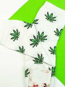 Носки и гольфы ISSA Plus модель NS-88_white Фото