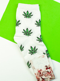 Носки и гольфы ISSA Plus модель NS-88_white Фото