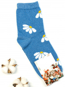 Шкарпетки та гольфи ISSA Plus модель NS-89_blue Фото