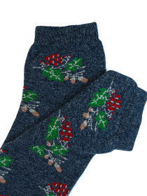 Носки и гольфы ISSA Plus модель NS-91_blue Фото