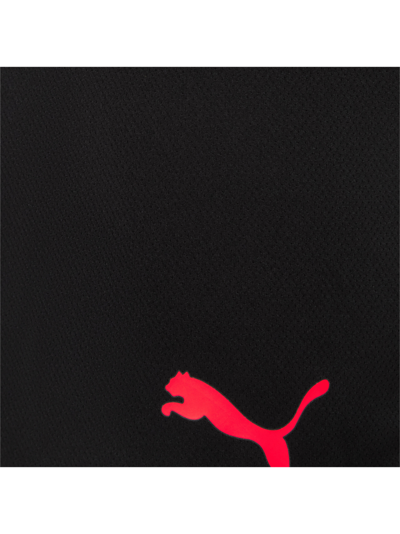 Спортивні шорти PUMA Individualrise Shorts модель 657538 Спортивні шорти PUMA Individualrise Shorts модель 657538 Фото