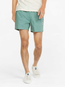Шорты PUMA Classics Twill Shorts 5" модель 536800 Фото