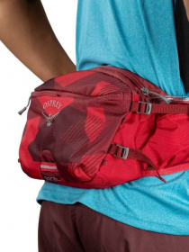 Поясная сумка Osprey модель c4c44452-1f8b-11ed-810e-001dd8b72568 Фото