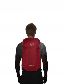 Рюкзаки Osprey модель d089b858-1fbc-11ed-810e-001dd8b72568 Фото