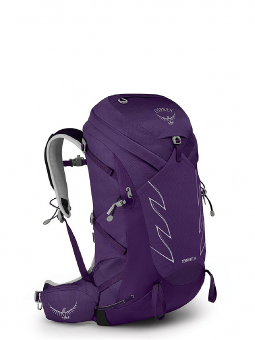 Повсякденний рюкзак Osprey модель 3c77861d-1fc0-11ed-810e-001dd8b72568 Фото