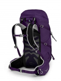 Повседневный рюкзак Osprey модель 3c77861d-1fc0-11ed-810e-001dd8b72568 Фото