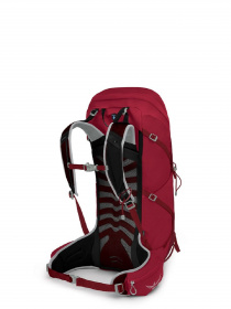 Рюкзак Osprey модель bdc1a1b0-1fc0-11ed-810e-001dd8b72568 Фото