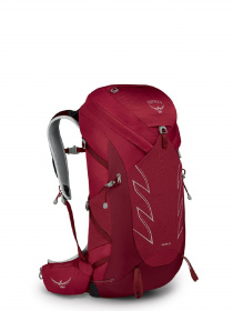 Повседневный рюкзак Osprey модель bdc1a1b0-1fc0-11ed-810e-001dd8b72568 Фото