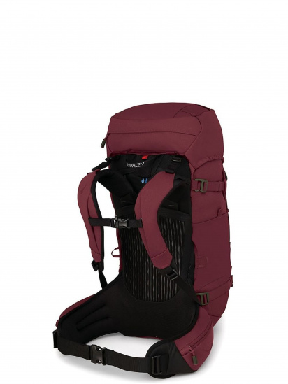Рюкзаки Osprey модель d552acb8-1fca-11ed-810e-001dd8b72568 — фото 3 - INTERTOP