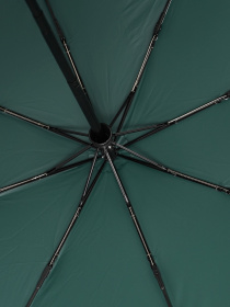 Зонты Monsen модель CV1ZNT24-green Фото