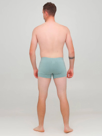 Трусы Chikiss модель CMH201-04i Фото