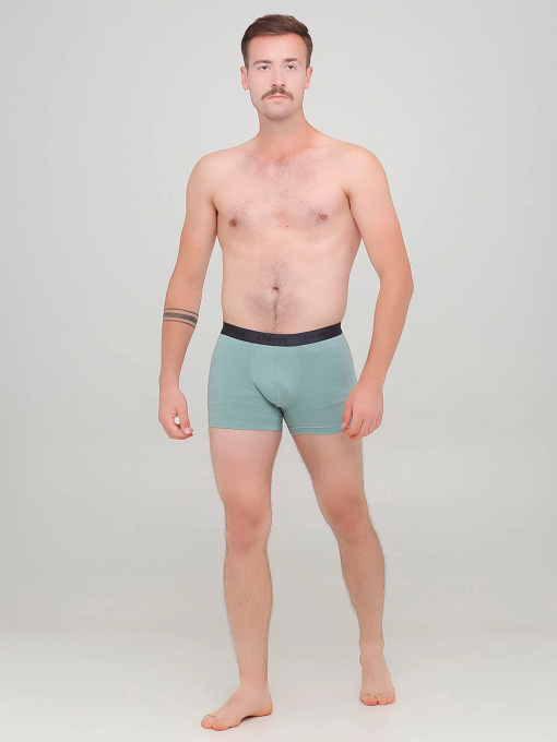 Трусы Chikiss модель CMH002i Фото