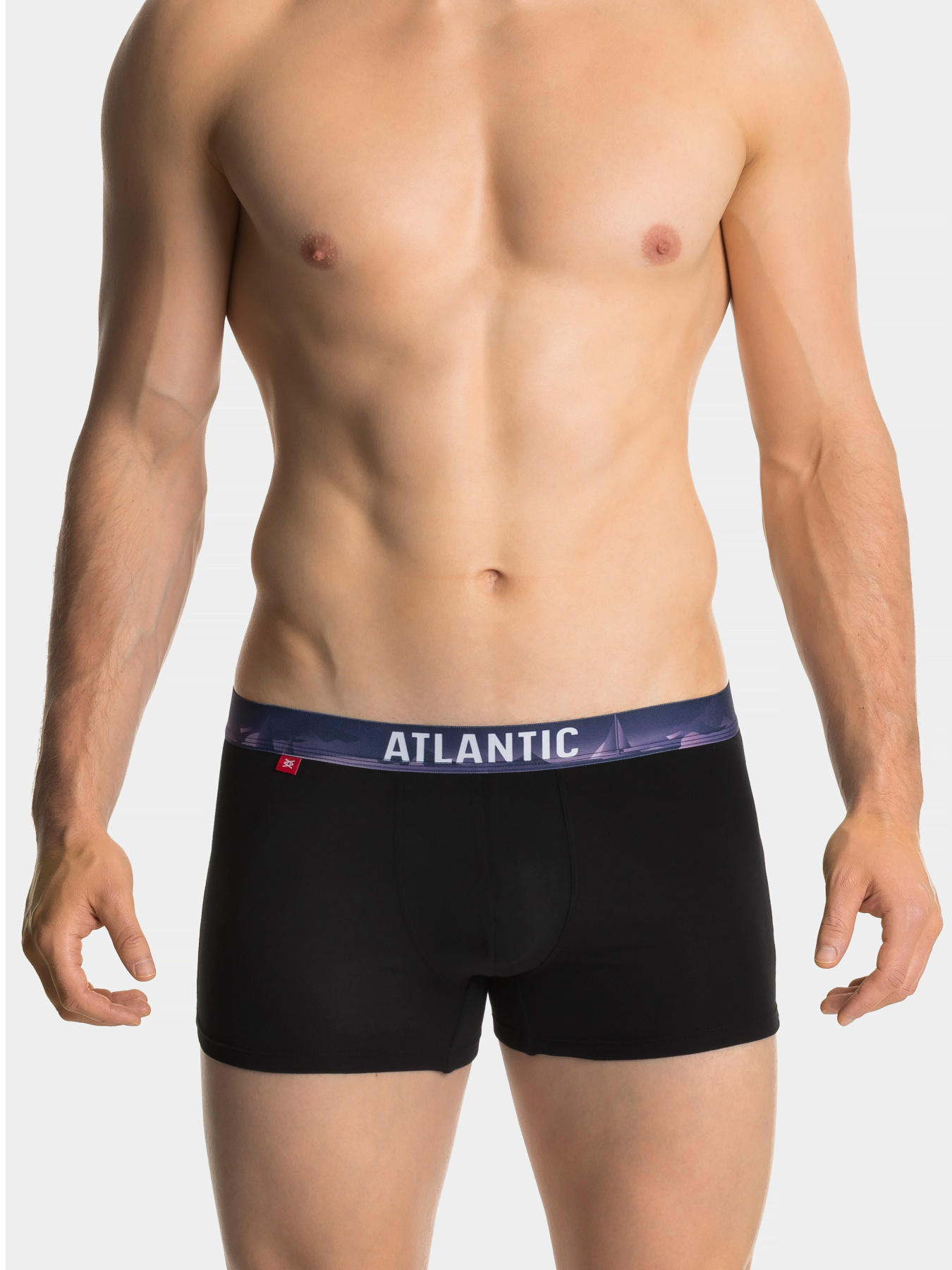 Набір трусів Atlantic модель 3MH-159_CZA_GRF_FIOC Фото