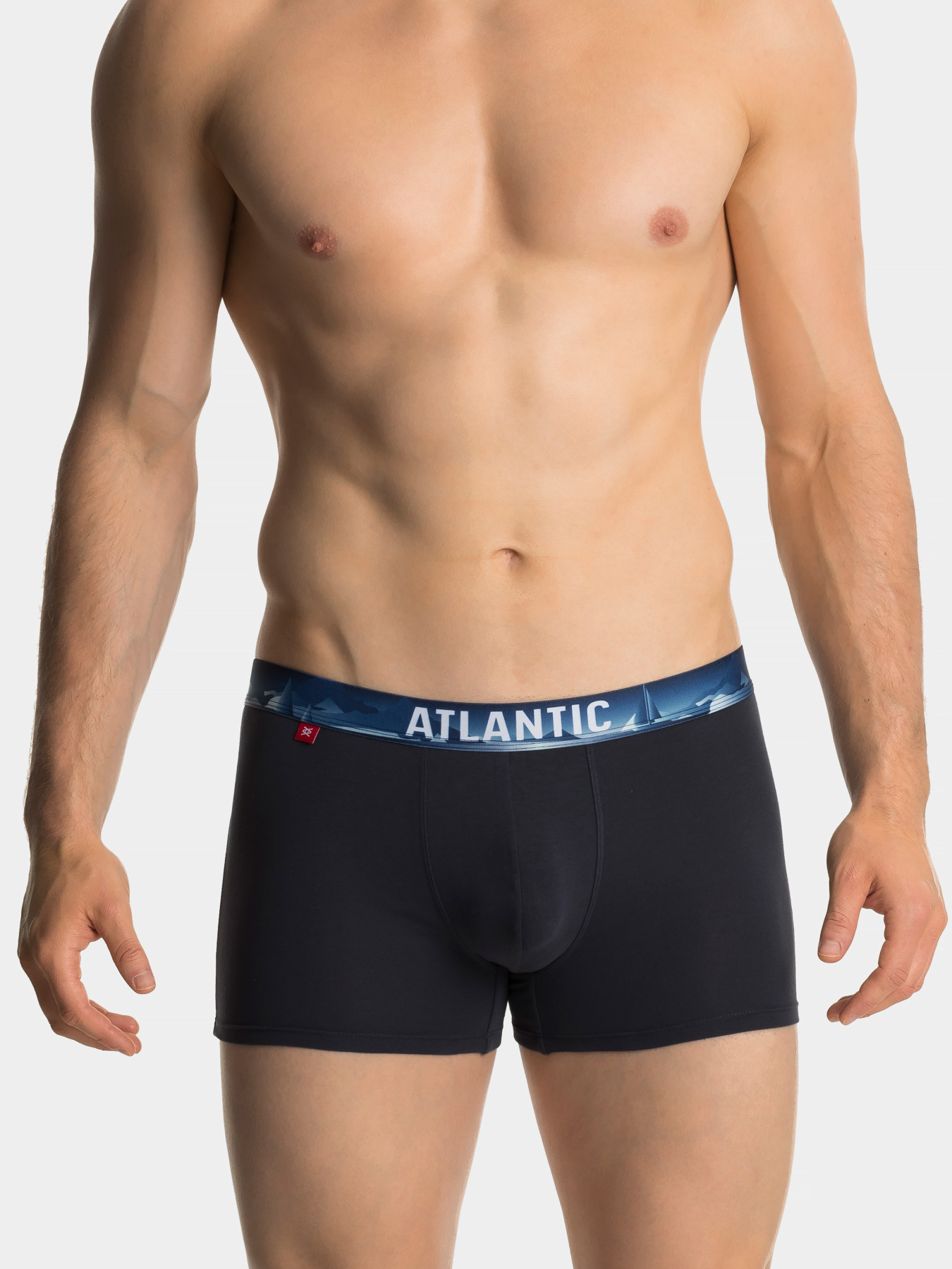 Набір трусів Atlantic модель 3MH-159_CZA_GRF_FIOC Фото